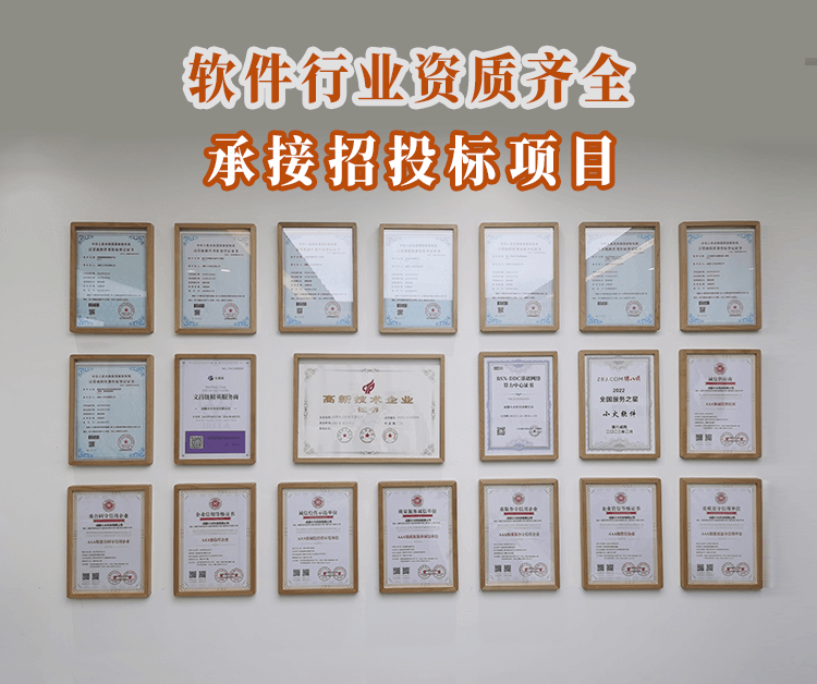 成都软件开发公司